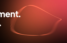 céges teszt